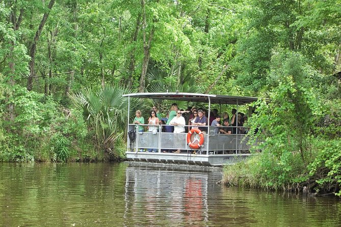 90-Minute Jean Lafitte Swamp and Bayou Tour with Transportation - Discover the 90-Minute Jean Lafitte Swamp and Bayou Tour with Transportation