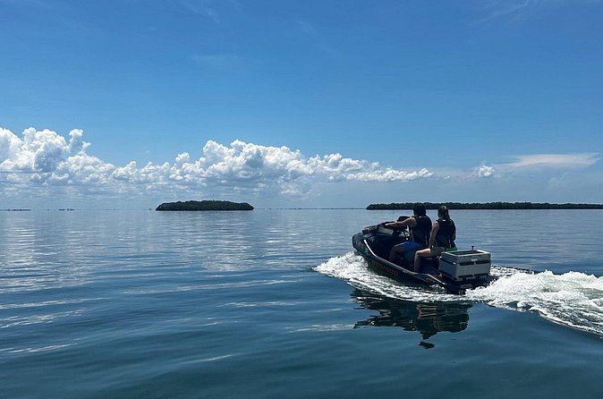 90 Minute Jet Ski Ft Desoto Sand Bar Tour - Additional Information: Licensing and Weather