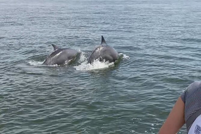 90-Minute Private Dolphin Tour in Hilton Head Island - Stops and Photo Opportunities along the Route
