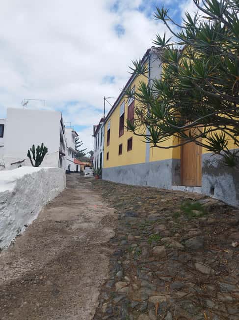 90-minute walking tour overlooking Barranco Ruiz, Tenerife - Explore Tenerife’s Quiet Northern Coast in a 90-Minute Walking Tour
