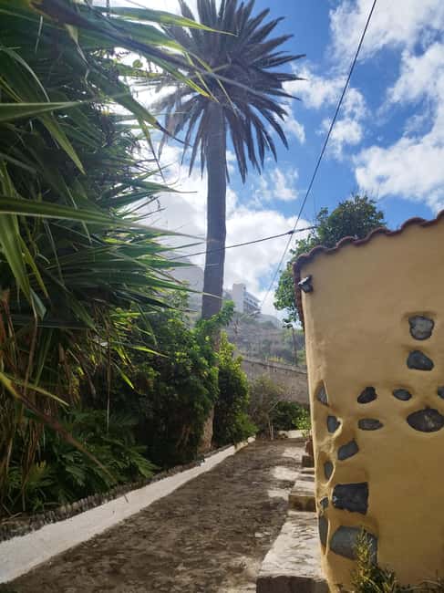 90-minute walking tour overlooking Barranco Ruiz, Tenerife - Key Points
