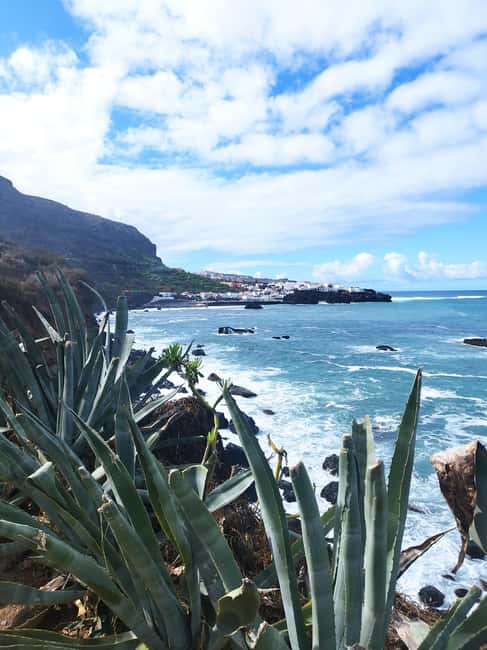 90-minute walking tour overlooking Barranco Ruiz, Tenerife - Traditional Houses and Endemic Plants Along the Trail