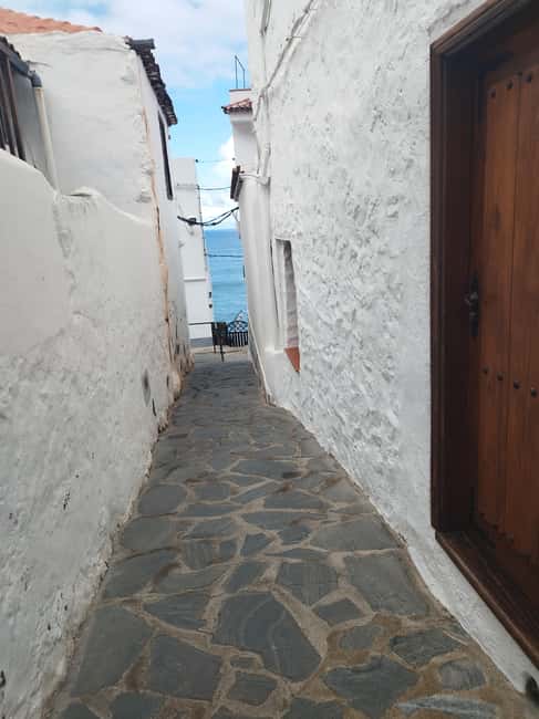 90-minute walking tour overlooking Barranco Ruiz, Tenerife - Physical Requirements and Accessibility