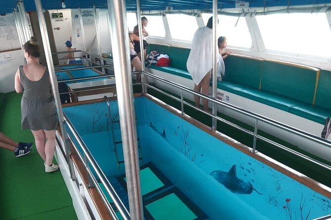 90-Minutes Glass Bottom Trip With Quick Dip - The Crew’s Knowledge and Safety Standards