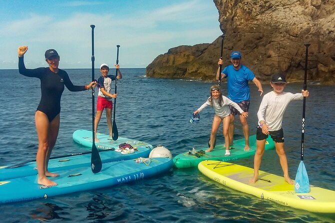 90' Stand Up Paddle tour in a small group in Cala Ratjada - Pricing and Booking Insights
