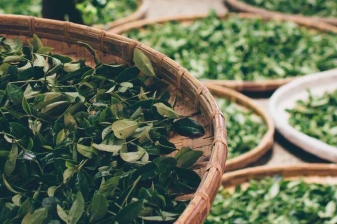 90minutes Tea Preparation and Tasting Experience in Como - Starting Point in Como: Convenient and Central Location