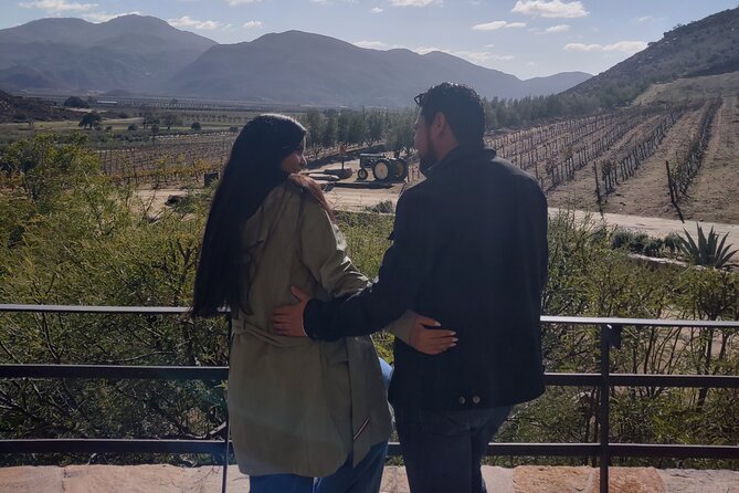 $99 Valle de Guadalupe Wine Tours - DayTrip to baja from San Diego - Frequently Asked Questions