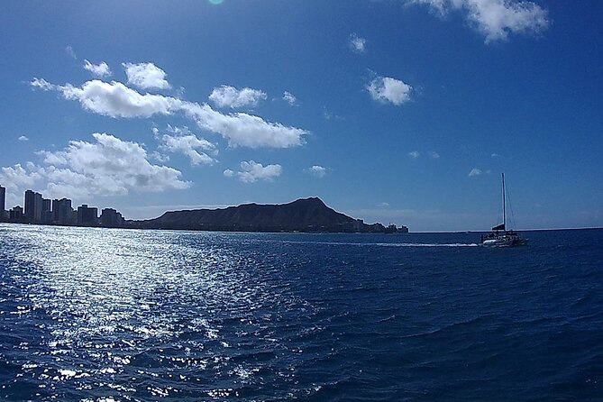 9am Turtle Canyon Snorkel Adventure - Why This Tour Stands Out Among Honolulu Activities