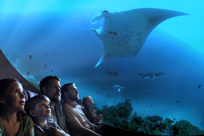 A 360° Immersive Ocean Movie Experience (Catalina Island) - Experience the Thrill of a Virtual "Scuba Dive" for $29.95