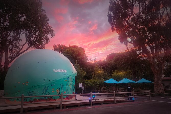 A 360° Immersive Ocean Movie Experience (Catalina Island) - Practical Tips for Visitors