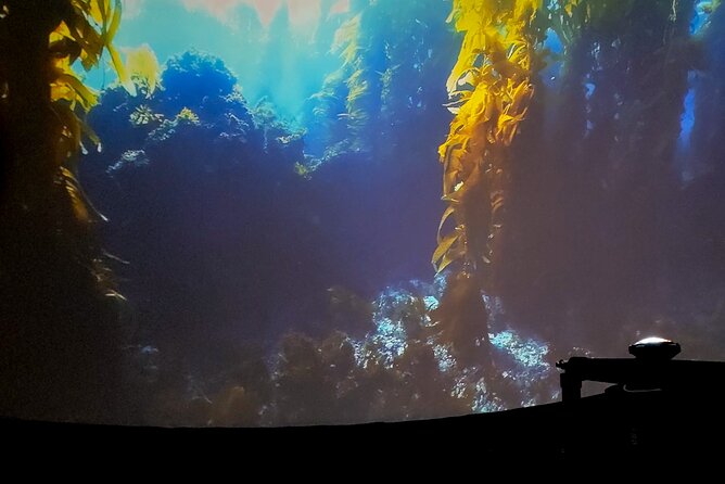 A 360° Immersive Ocean Movie Experience (Catalina Island) - Final Thoughts on the Catalina Ocean Movie Experience