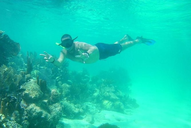 A beach day with open bar, lunch and snorkeling LOS ARRECIFES RESTAURANT - Snorkeling Adventures at the Reef