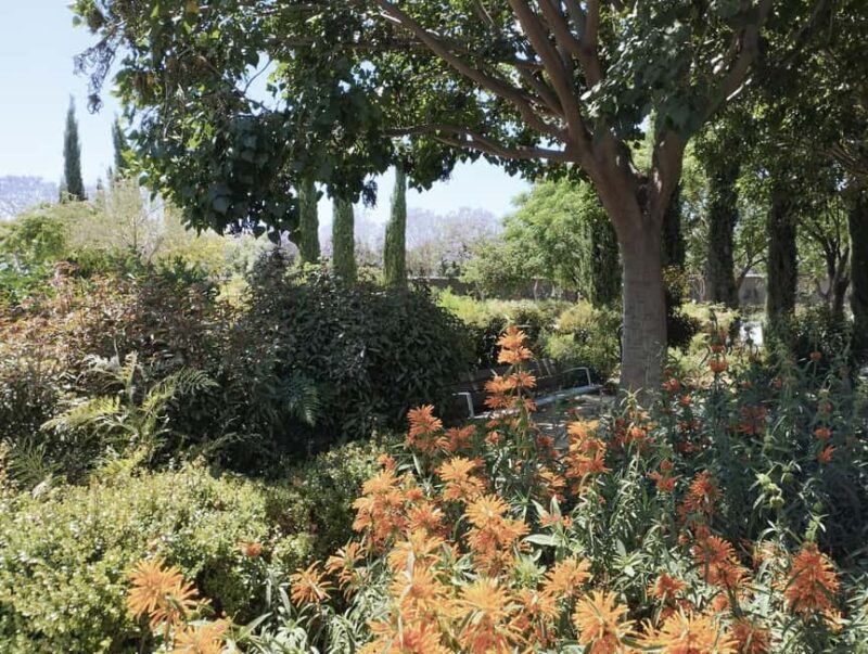 A bespoke piece and a message from your connection to nature in Valencia - Who Would Appreciate This Experience Most?