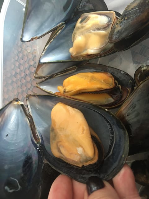 A Coruña: Local Market Shopping and Cooking Workshop - Who Will Enjoy This Experience Most