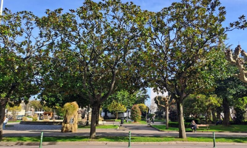 A Coruña: Premium Tuk Tuk tour - Key Points