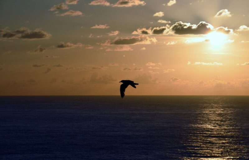 A Coruña: Private Guided Walking Tour - Starting Point at Obelisco Square