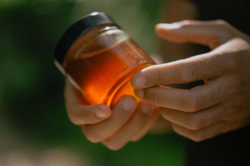 A day as a beekeeper: an adventure among mountains and nature - Who Will Appreciate This Beekeeping Day?