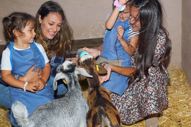 A day at the farm - Discover the Charm of A Day at the Farm in Gran Canaria