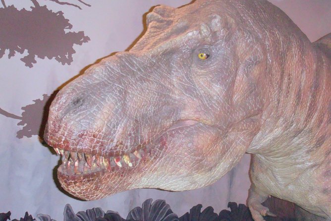 A Day at the Museum - Natural History Museum London - Practical Aspects: Hygiene, Accessibility, and Comfort