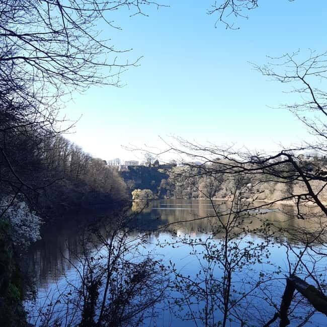 A Day Hike in Mervent Forest (Vendée) - Starting Point and Journey Overview in Mervent