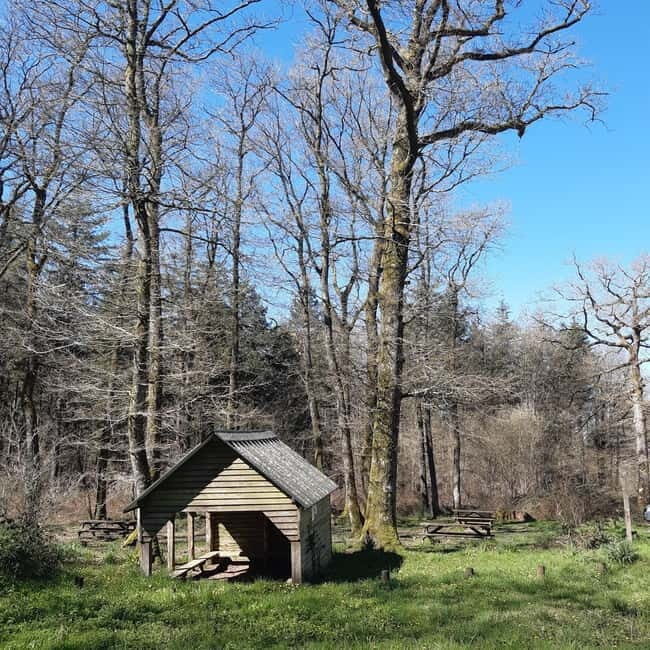 A Day Hike in Mervent Forest (Vendée) - Wildlife and Nature Encounters in Mervent Forest