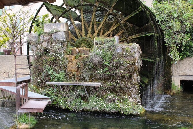 A day in Provence: Les Baux de Provence, Saint Rémy and more - Practicalities and Booking Tips