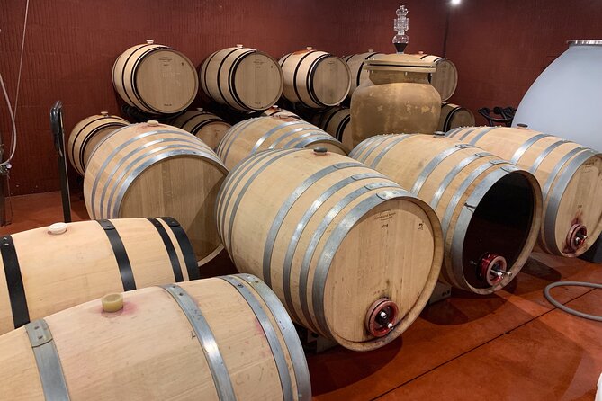 A day in Saint-Emilion in a small group (Electric Luxury Van) - All-Inclusive Experience with Quality and Comfort