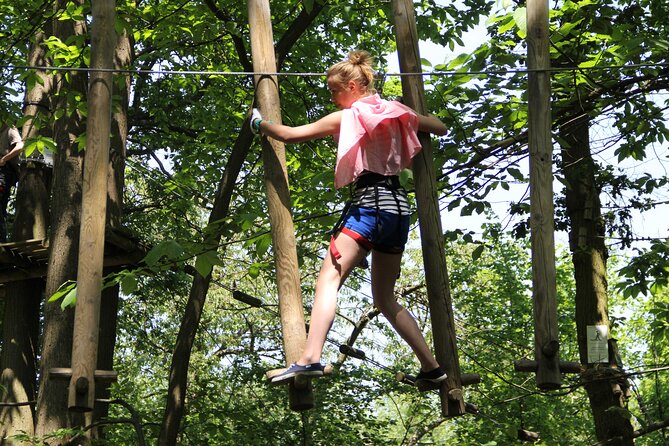 A Day in the Largest Adventure Park in France - Exciting Treetop Adventures Near Paris for Just $35.32