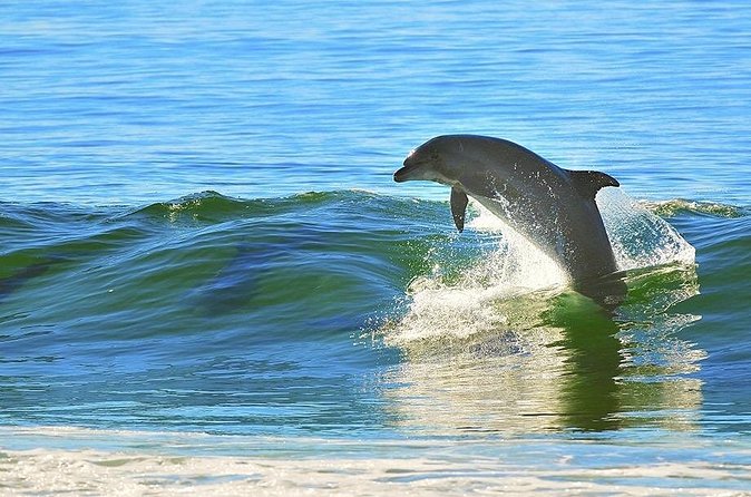 A Day on the Bay - The Experience Guide: Knowledgeable and Friendly