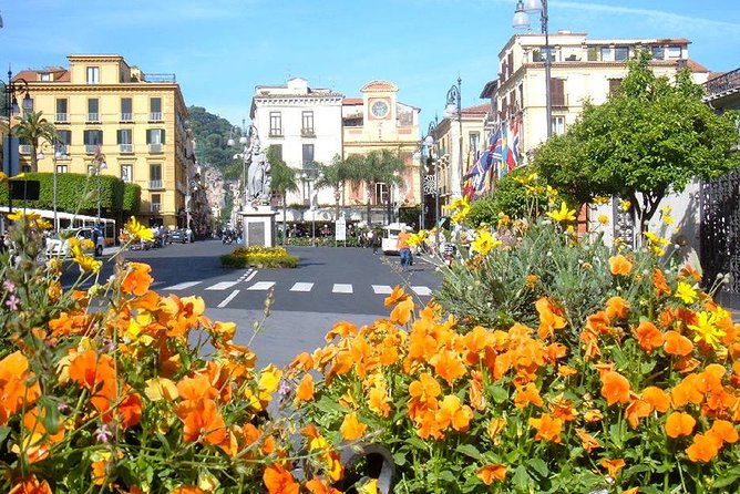 A day to Pompeii & Sorrento from Rome - The Experience of the Driver and Local Knowledge