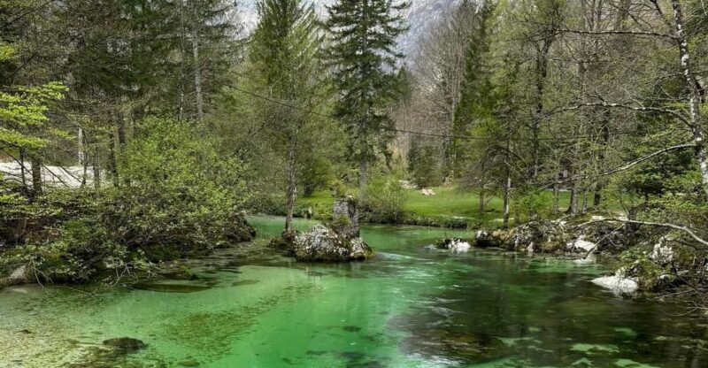 A day trip from Ljubljana: Magical nature and lake Bohinj - Exploring Lake Bohinj’s Stunning Shoreline