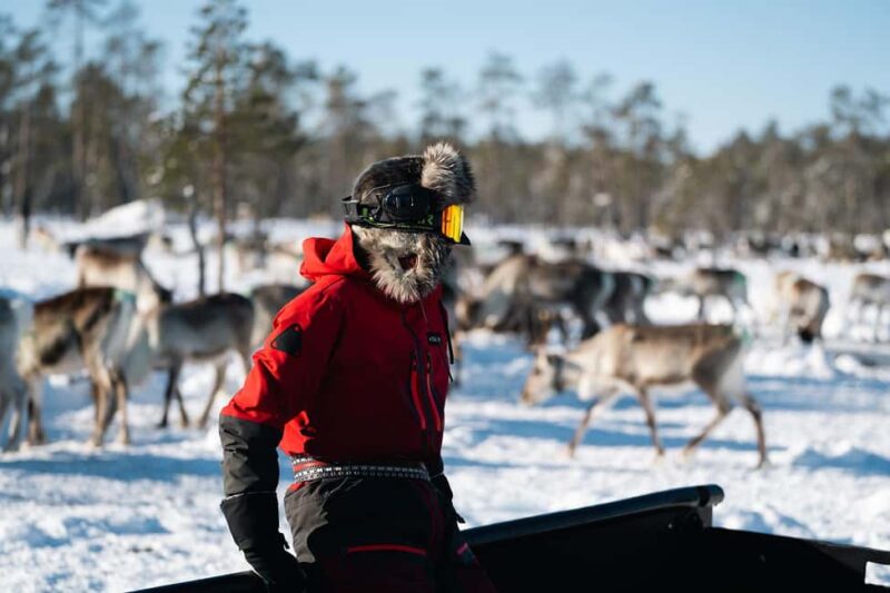 A day with reindeer herders in the wilderness - Additional Options and Customizations