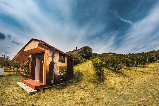 A delightful wine tasting in the scenic countryside with lunch - The Scenic Route and Photographic Opportunities