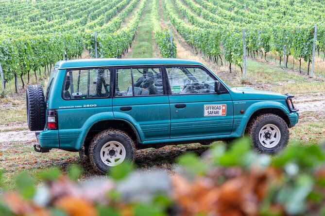 A delightful wine tasting in the scenic countryside with lunch - Booking and Cancellation Policies