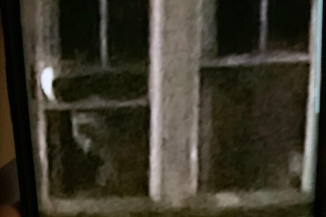 A Ghost Hunting Tour Specters and Apparitions in Salem - Group Size, Weather, and Accessibility