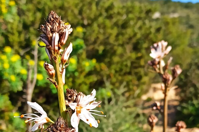 A hike to the Devil's Saddle - Starting Point at Cagliari’s Largo Carlo Felice