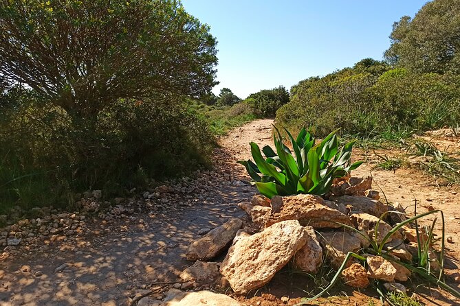 A hike to the Devil's Saddle - The Route from Calamosca to Sella del Diavolo