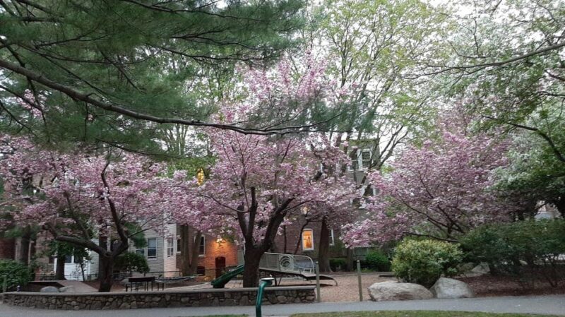 A Journey Through Time: a walking/driving tour of Boston - Discovering Beacon Hill and Massachusetts State House