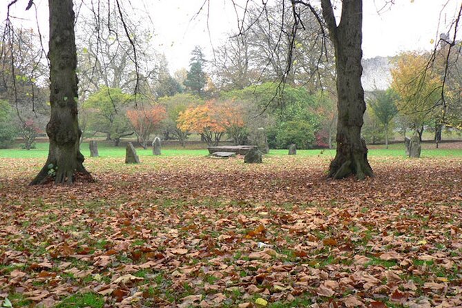 A Journey through Tudor Cardiff: A Self-Guided Audio Tour - Why This Tour Stands Out in Cardiff