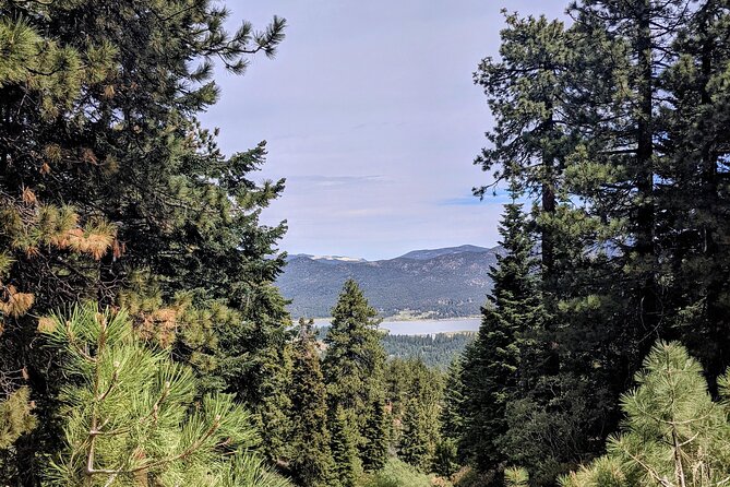 A Local's Favorite Hike in Big Bear with Lake Swimming Experience - Flexible Timing and Group Limitations