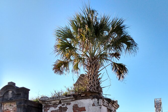 A Local's Garden District Tour - Key Points