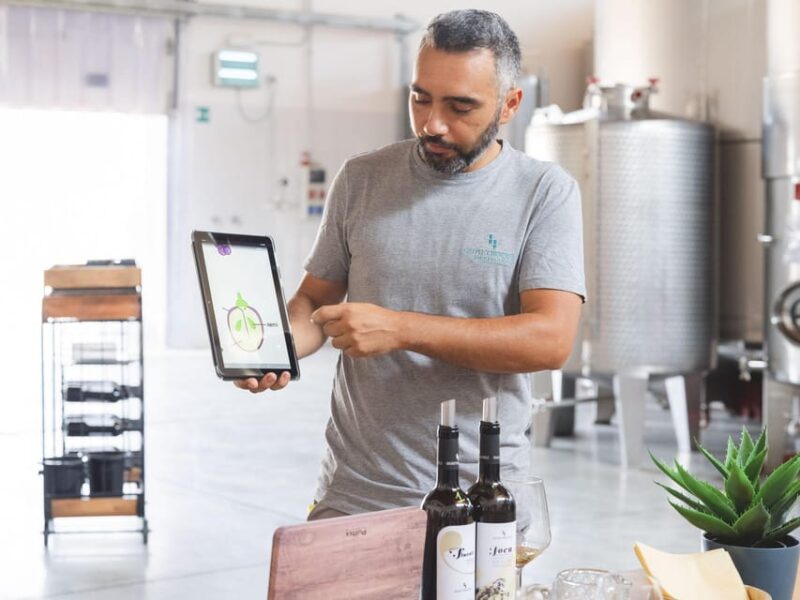 A morning with the Winemaker - Discover the Art of Winemaking in Sicily for Just $56.94