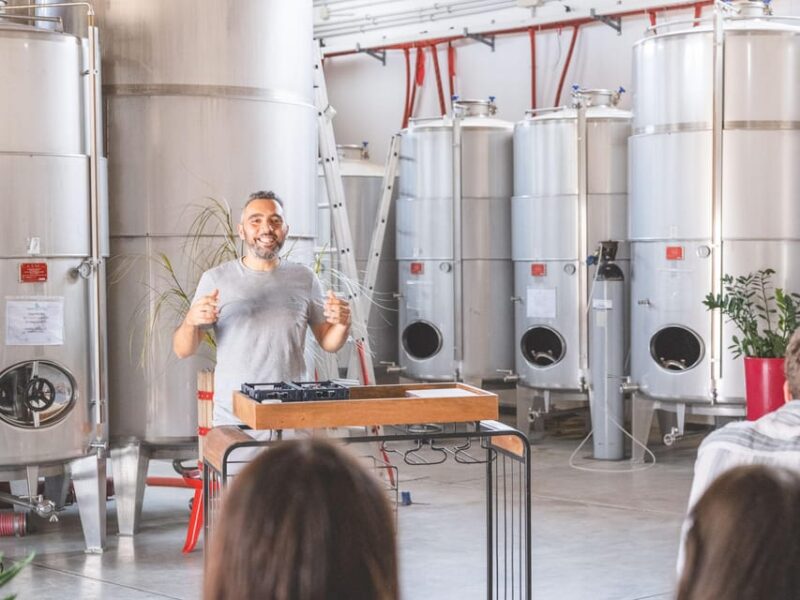 A morning with the Winemaker - Meet the Local Winemaker and Learn Their Craft