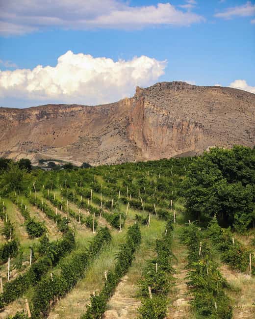 A One-Day Culinary Journey from Yerevan - Lake Sevan’s Scenic Drive and Views