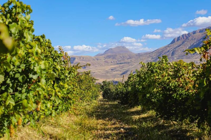 A One-Day Culinary Journey from Yerevan - Tour Pricing and Booking Flexibility