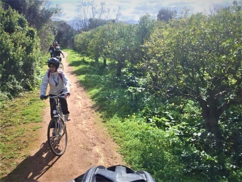 a PRIVATE ride of Favorita Park and Mondello - Return to Base and Tour Summary