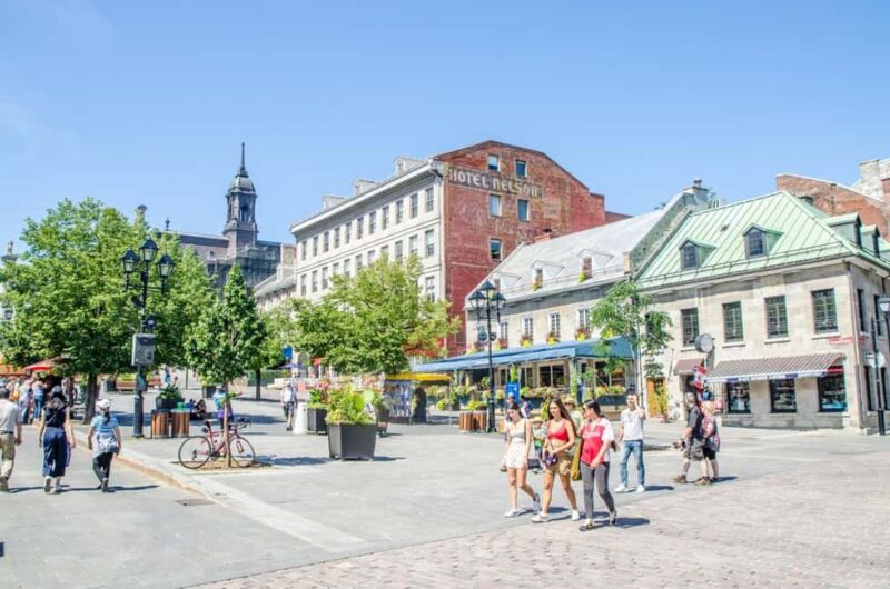 A Private Walk of Old Montreal: Historic & Cultural Sites - Waterfront Attractions and Panoramic Views