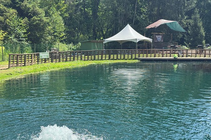 A Relaxing Day of Fishing and Fresh BBQ - The Fresh BBQ Lunch: A Highlight of the Day