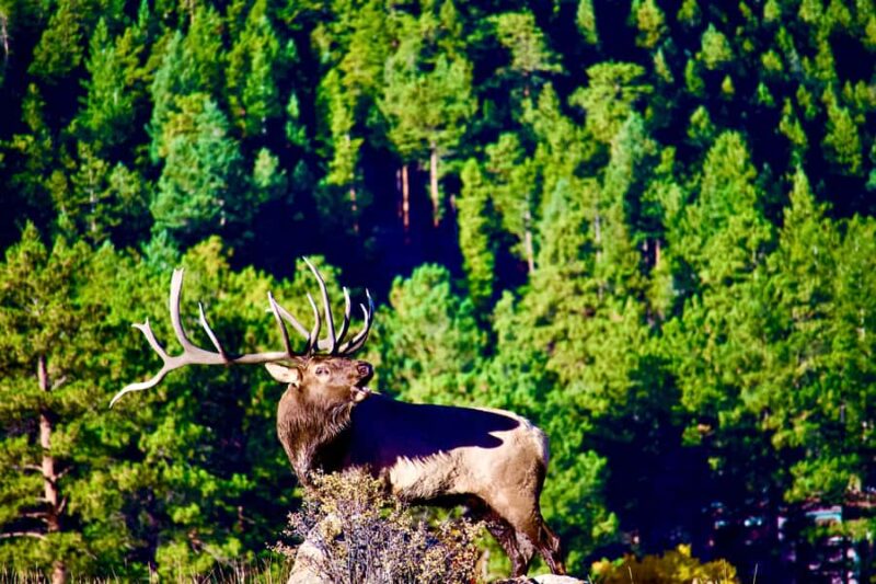 A Ruttin' Good Time - The Scenic Route and Prime Viewing Times