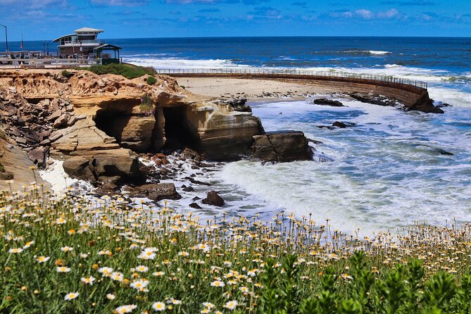 A Seaside Stroll: La Jolla's Hidden Treasures Self-Guided Tour - The Secret History of Sunny Jim Cave and Goldfish Point